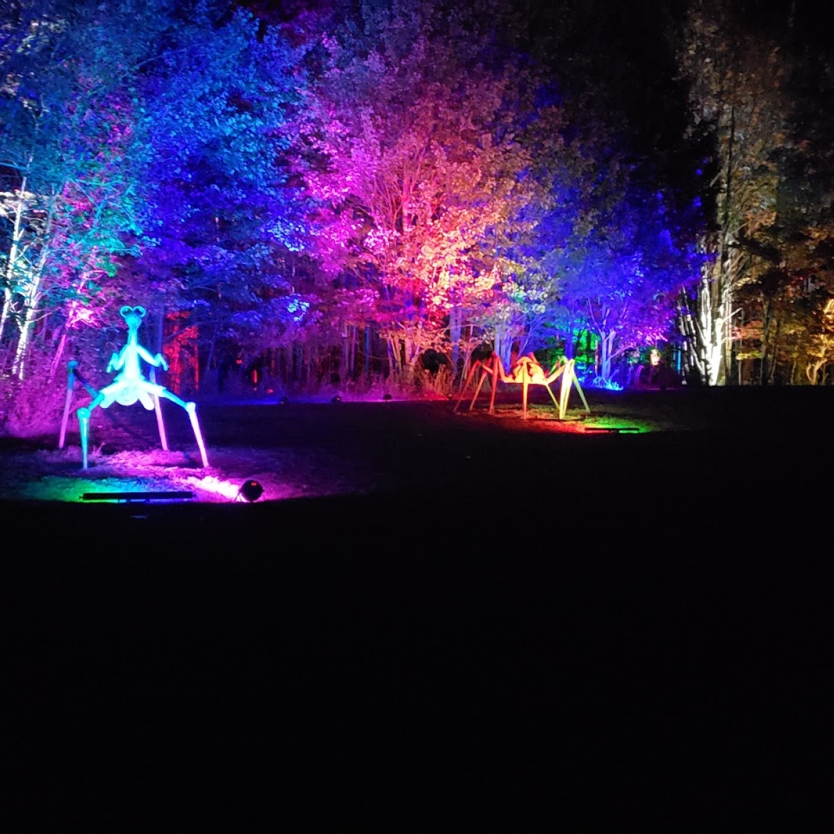 Sculptures at Night Lights at Griffis Sculpture Park