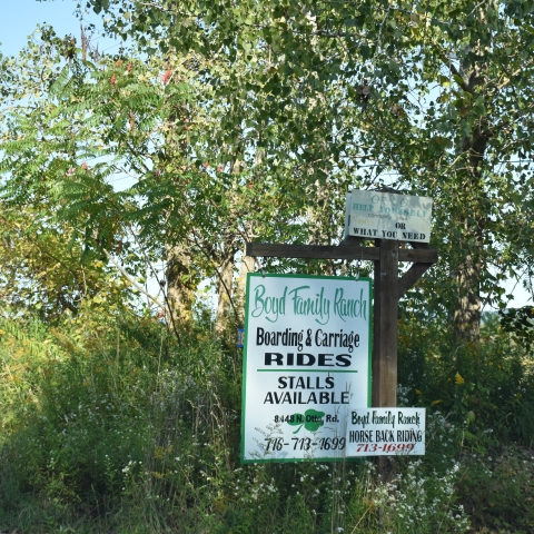Boyd Family Ranch sign