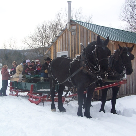 Sleigh ride at the Crosspatch Horse Ranch