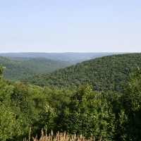 View in Allegany