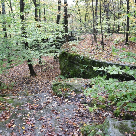 A view of an area at Little Rock City State Forest.