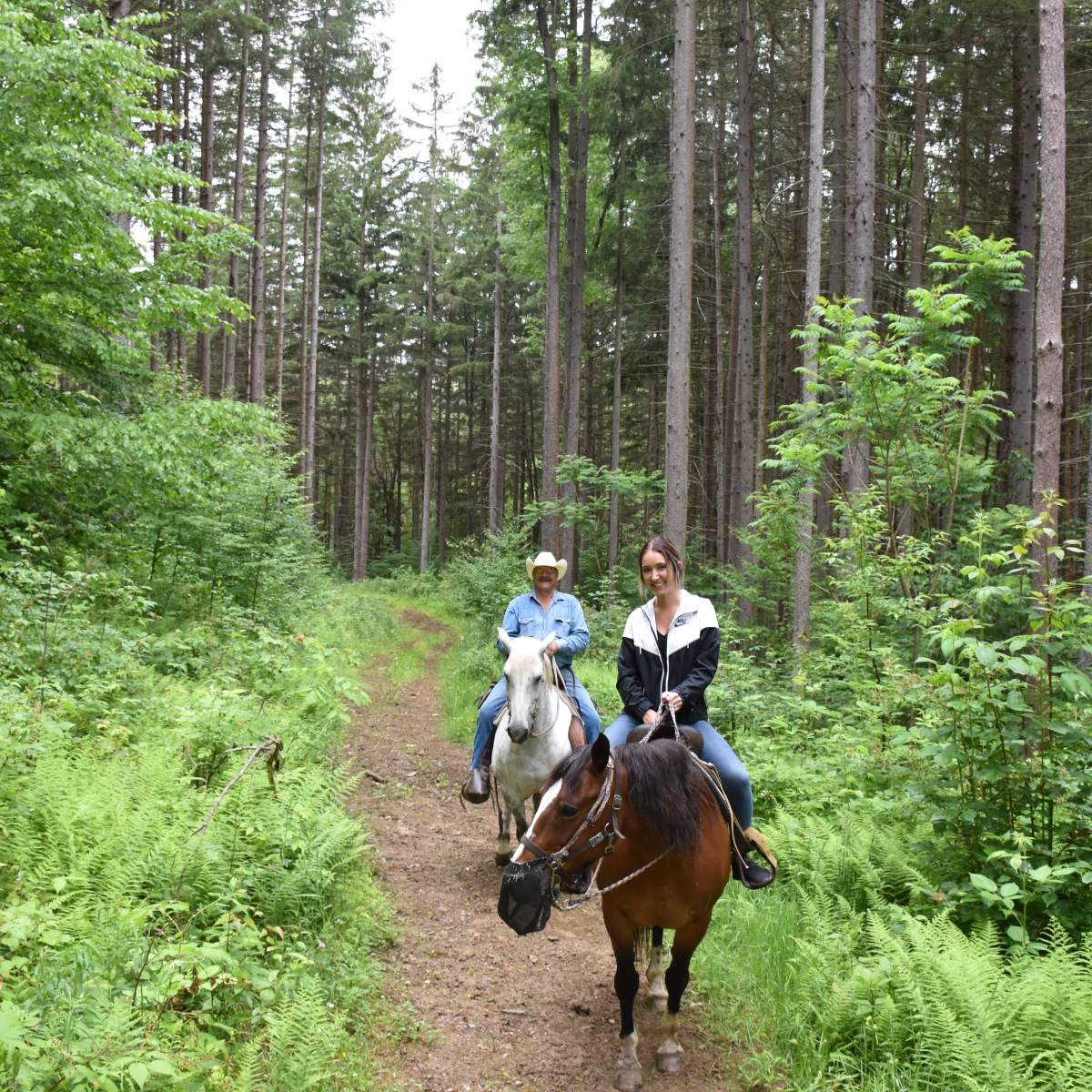 Riding with the CrossPatch Horse Ranch at Elkdale State Forest (2023)