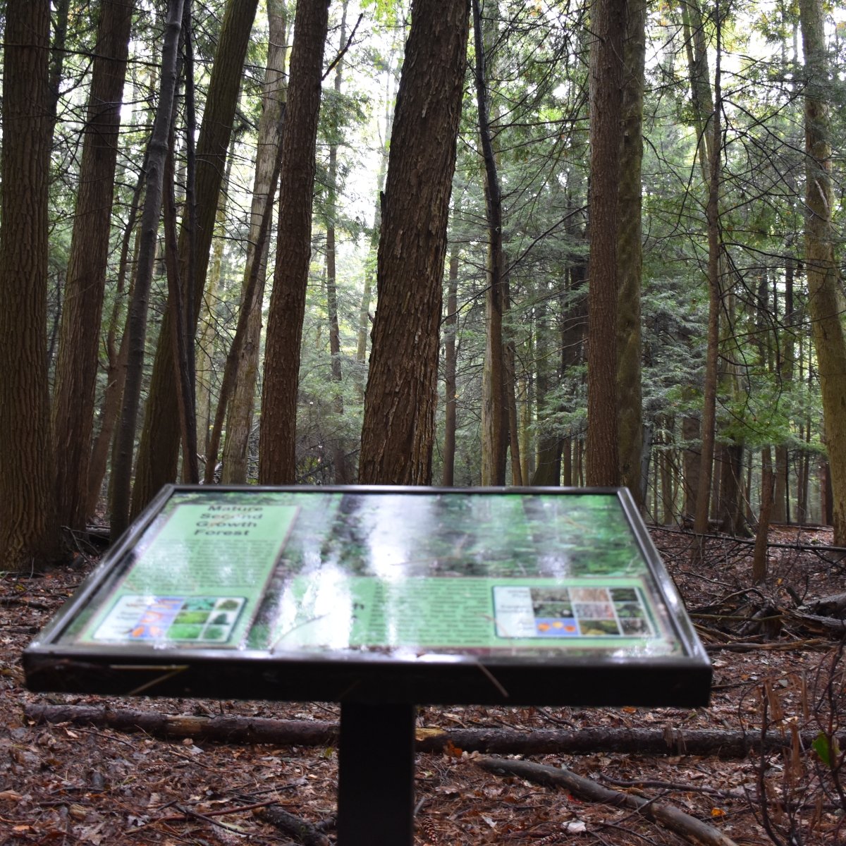 Old Growth Forest information kiosk at Pfeiffer Nature Center (2021)