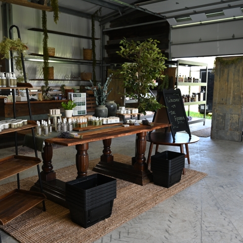 Inside the Reserve Farm Shop & Cafe