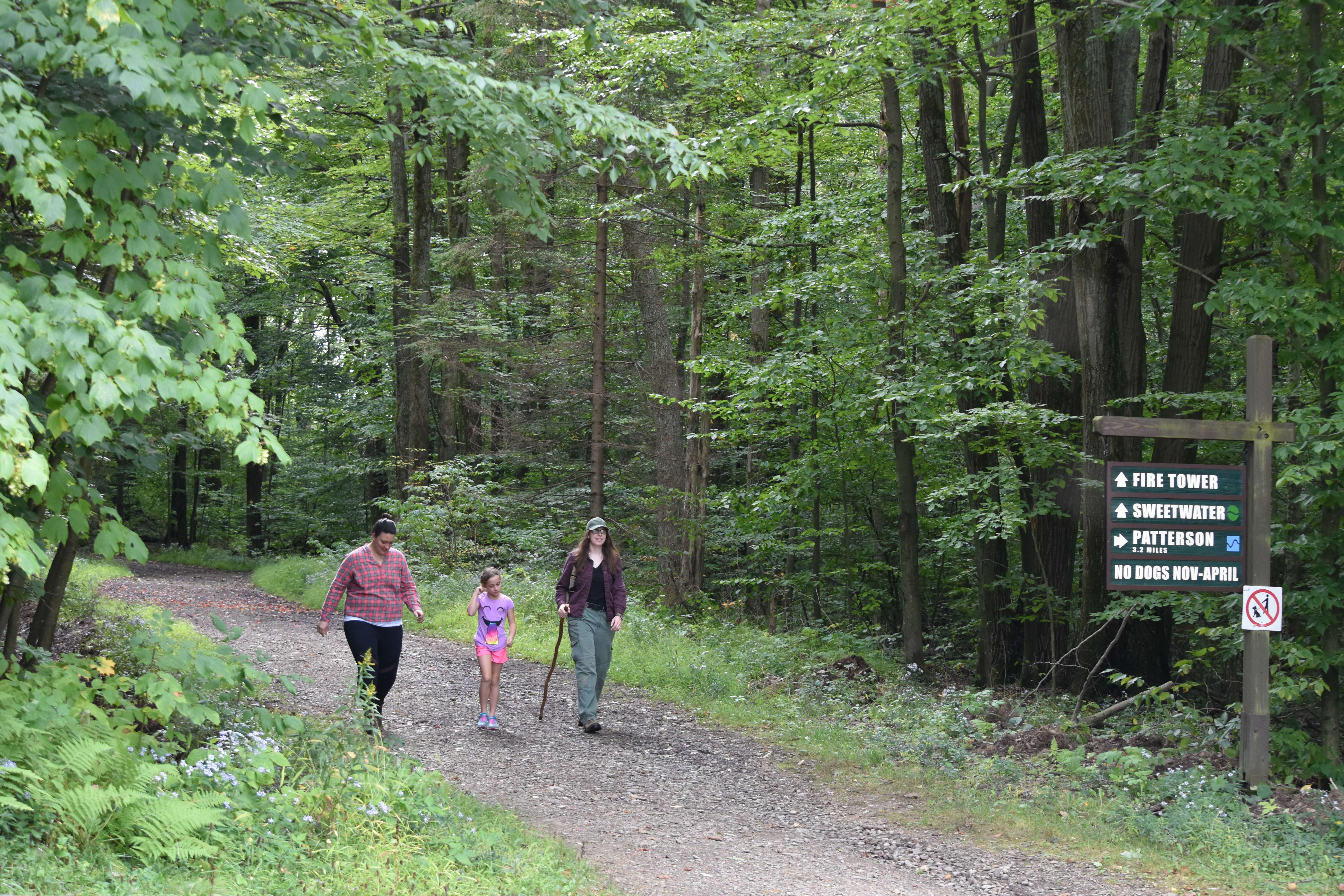 Allegany state shop park hiking trails