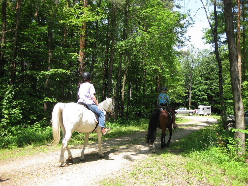 pine hills mtb trails