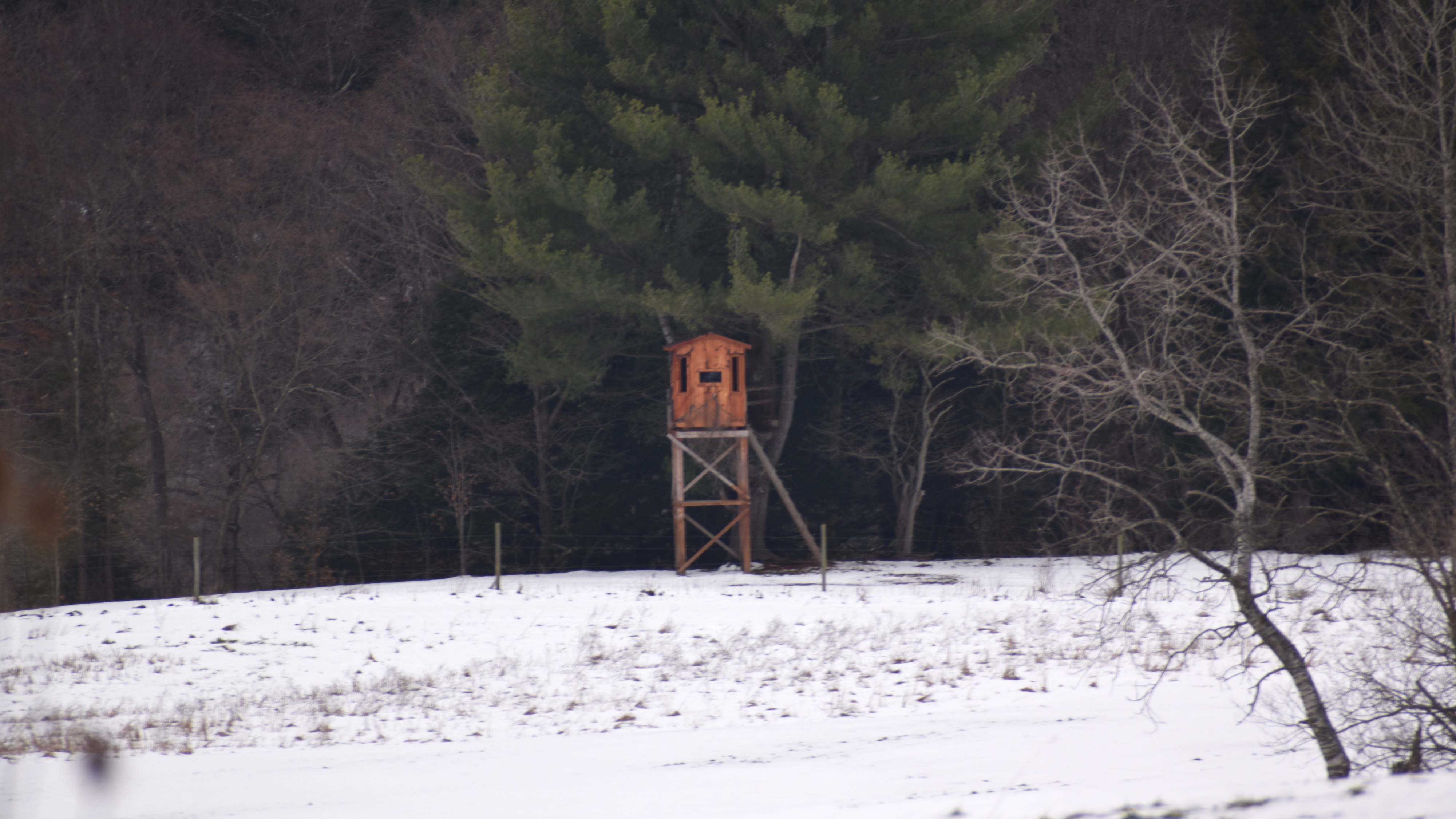 Hunting Season is here