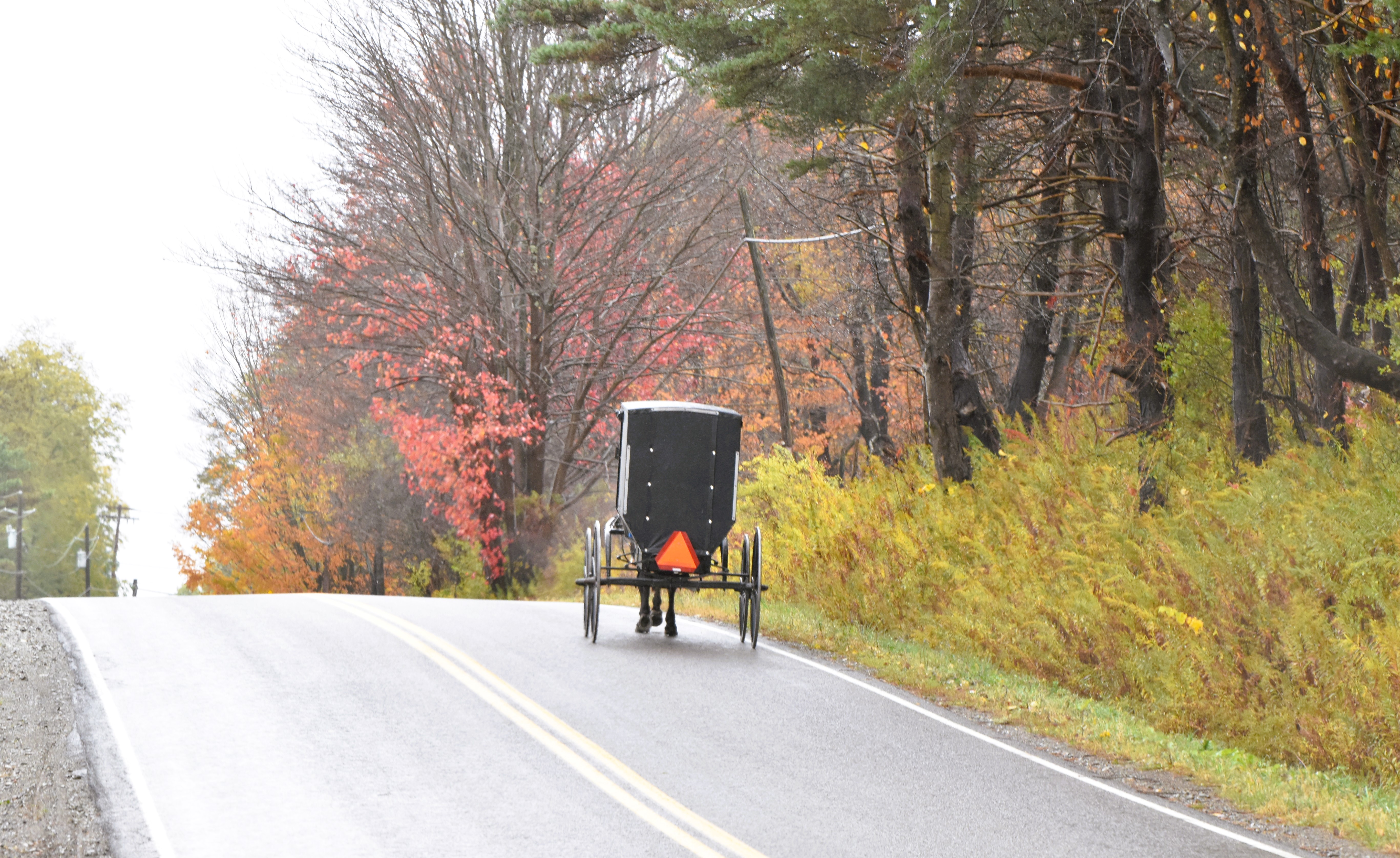 Fall along the Amish Trail