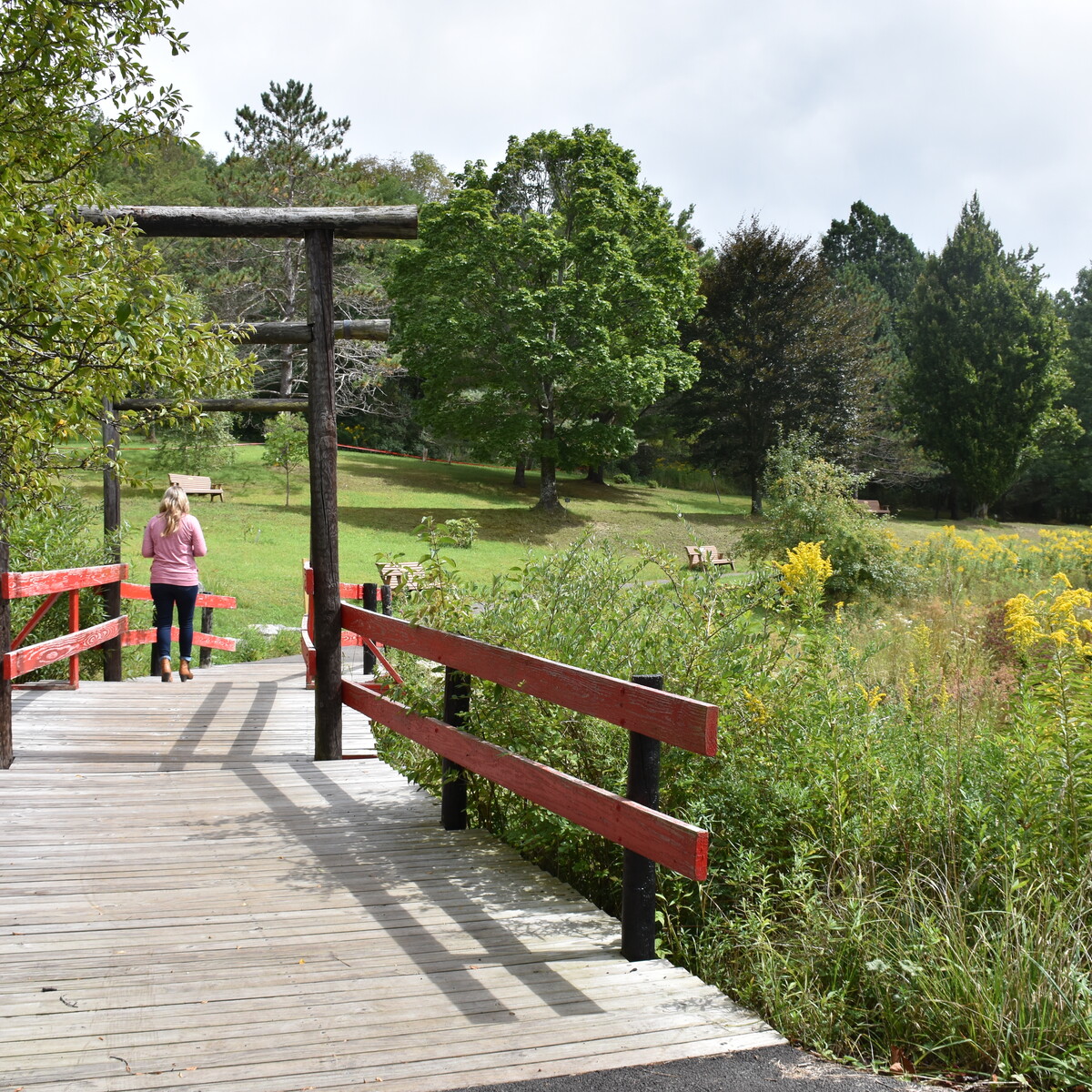 Walking at Nannen Arboretum