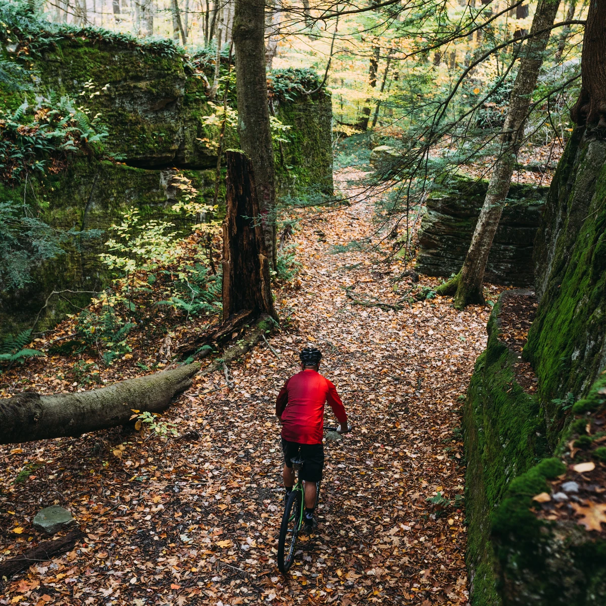Mountain biker at Little Rock City State Forest