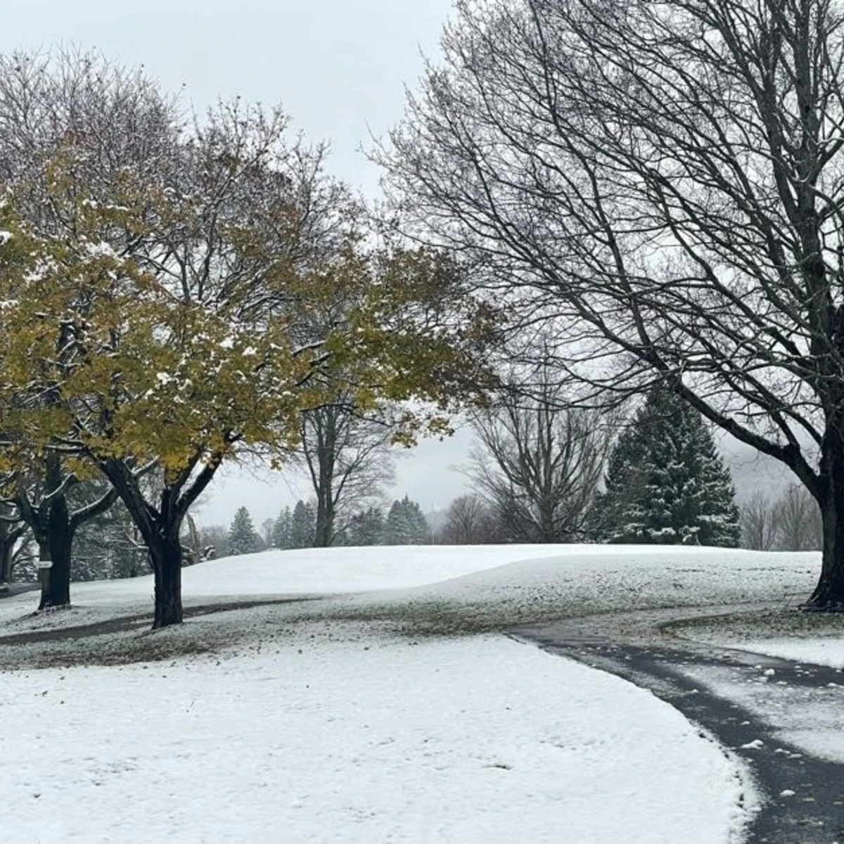 Fall meets Winter - First snowfall of 2024 