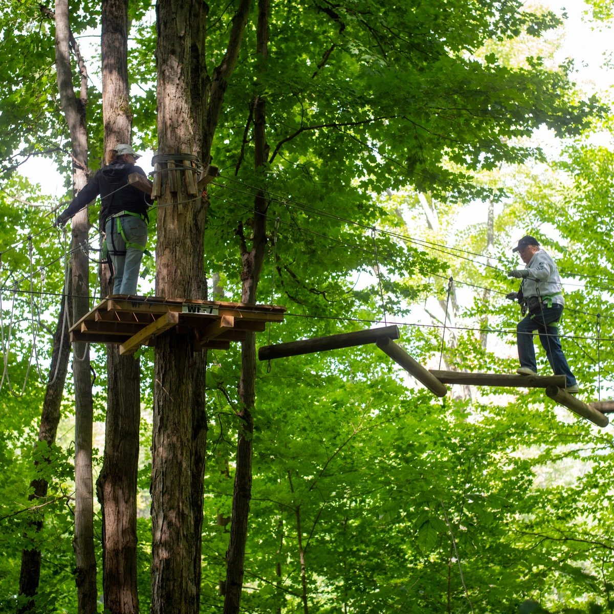 Exploring the treetops at Sky High