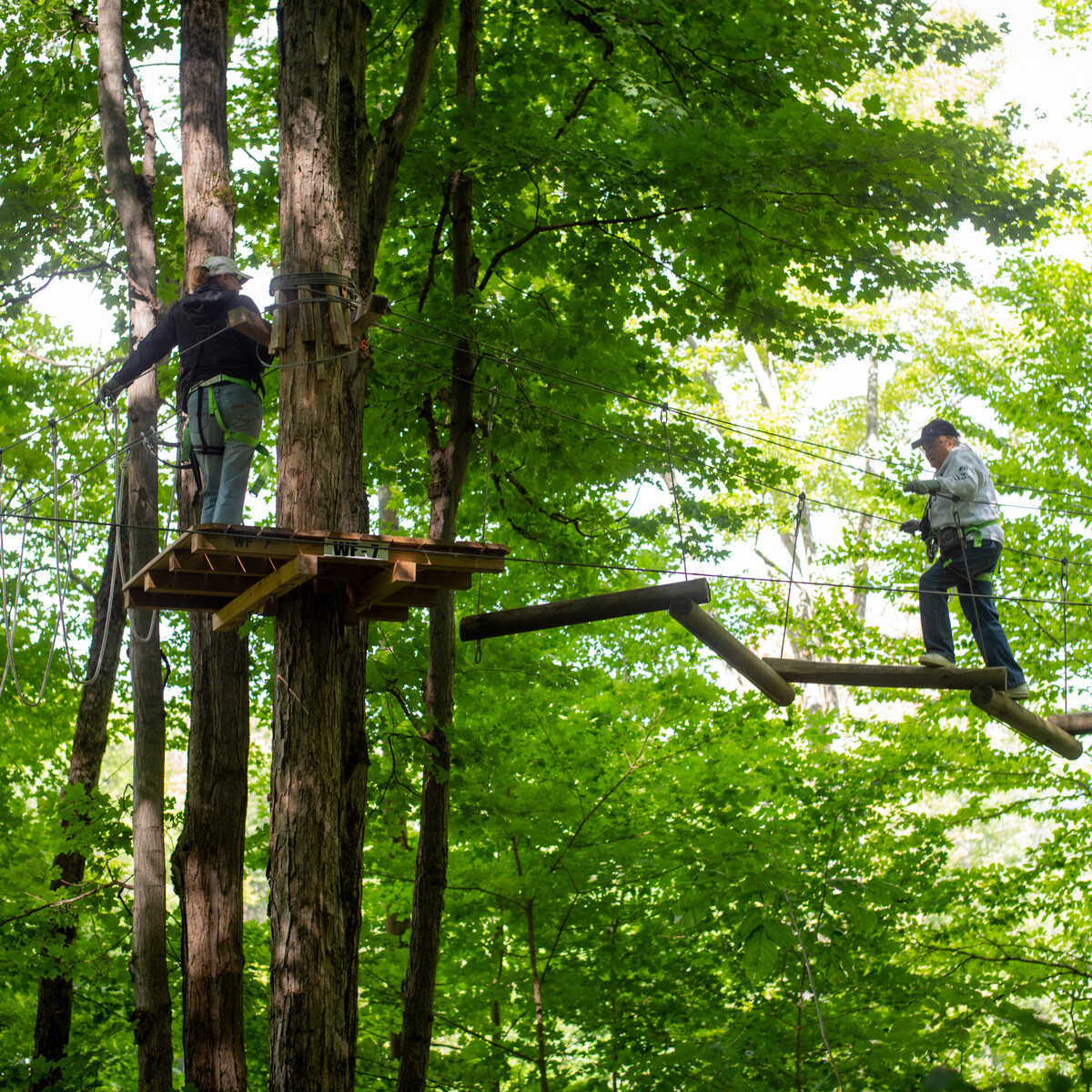 Exploring the treetops at Sky High