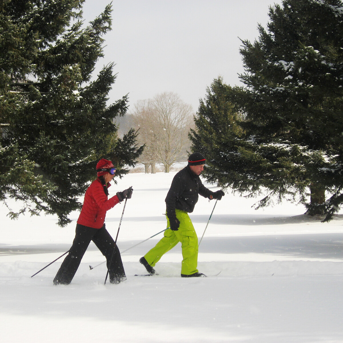 A couple cross country skiing around the golf course at Holiday Valley Resort (2016)