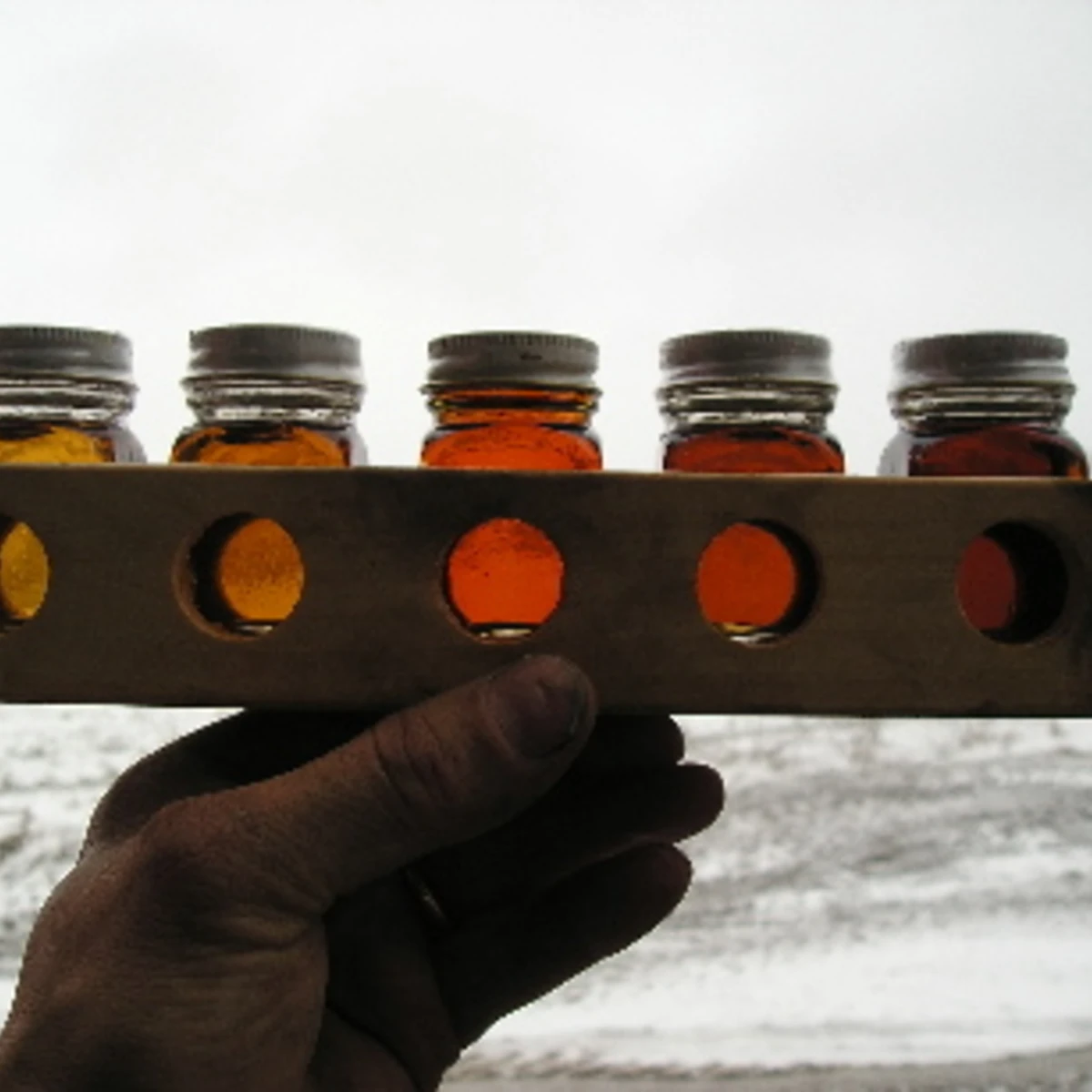 maple syrup grading at Wright's Maple