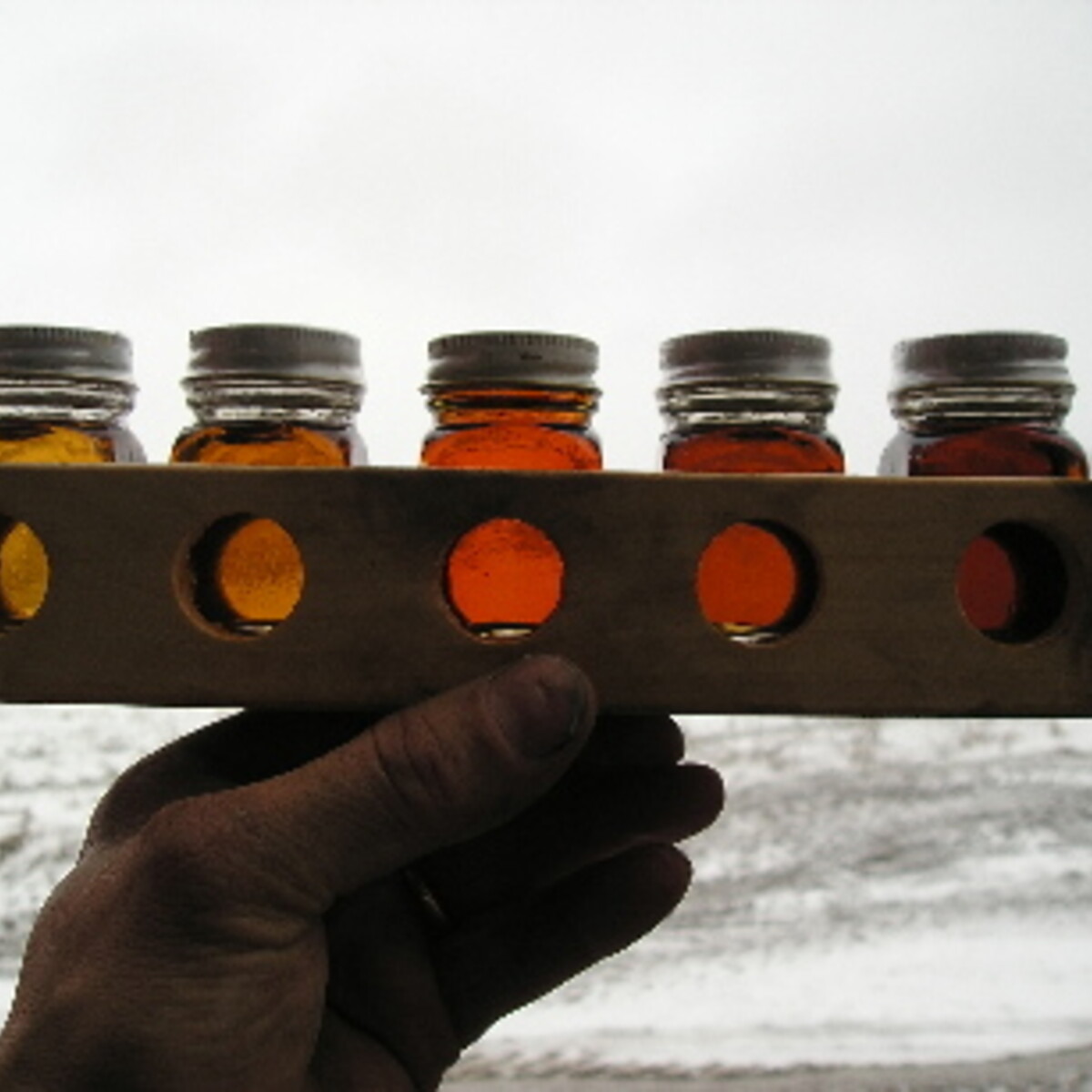 maple syrup grading at Wright's Maple