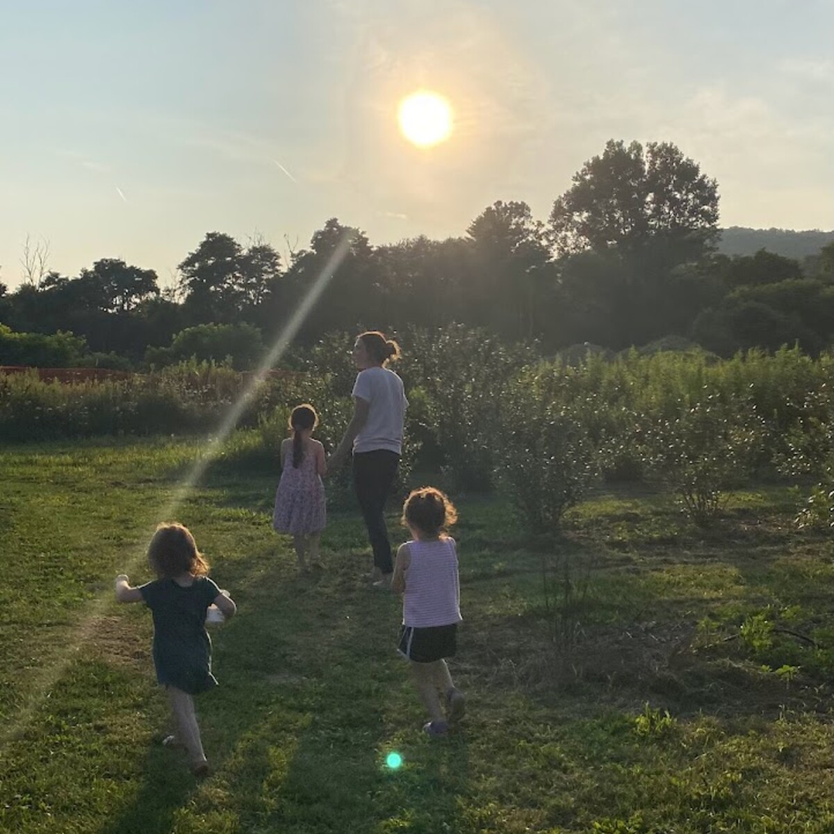 family picking berries in Great Valley, NY