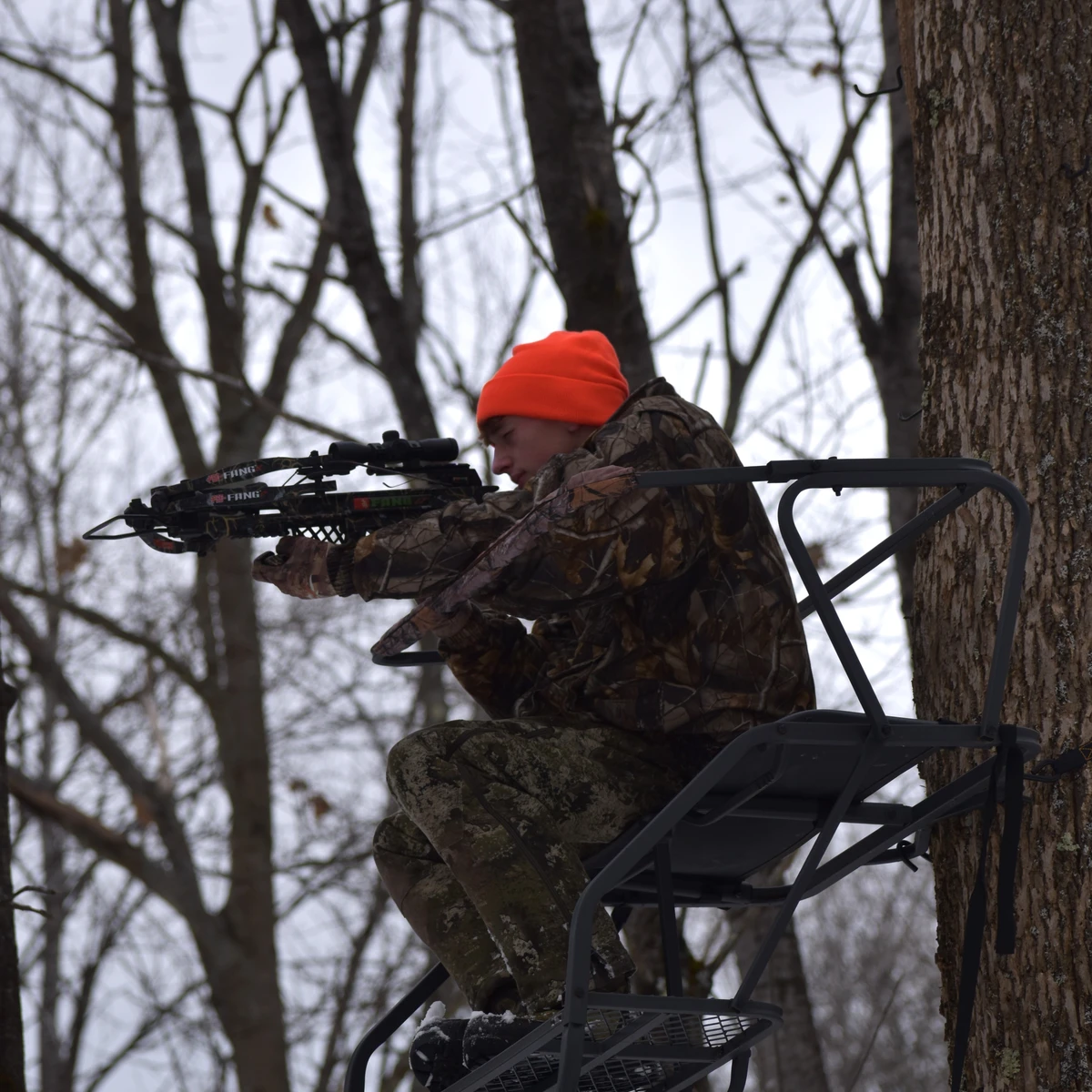 Hunter in Cattaraugus County