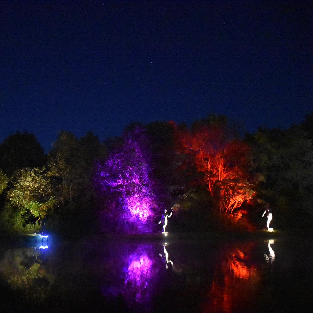 Night Lights at Griffis Sculpture Park