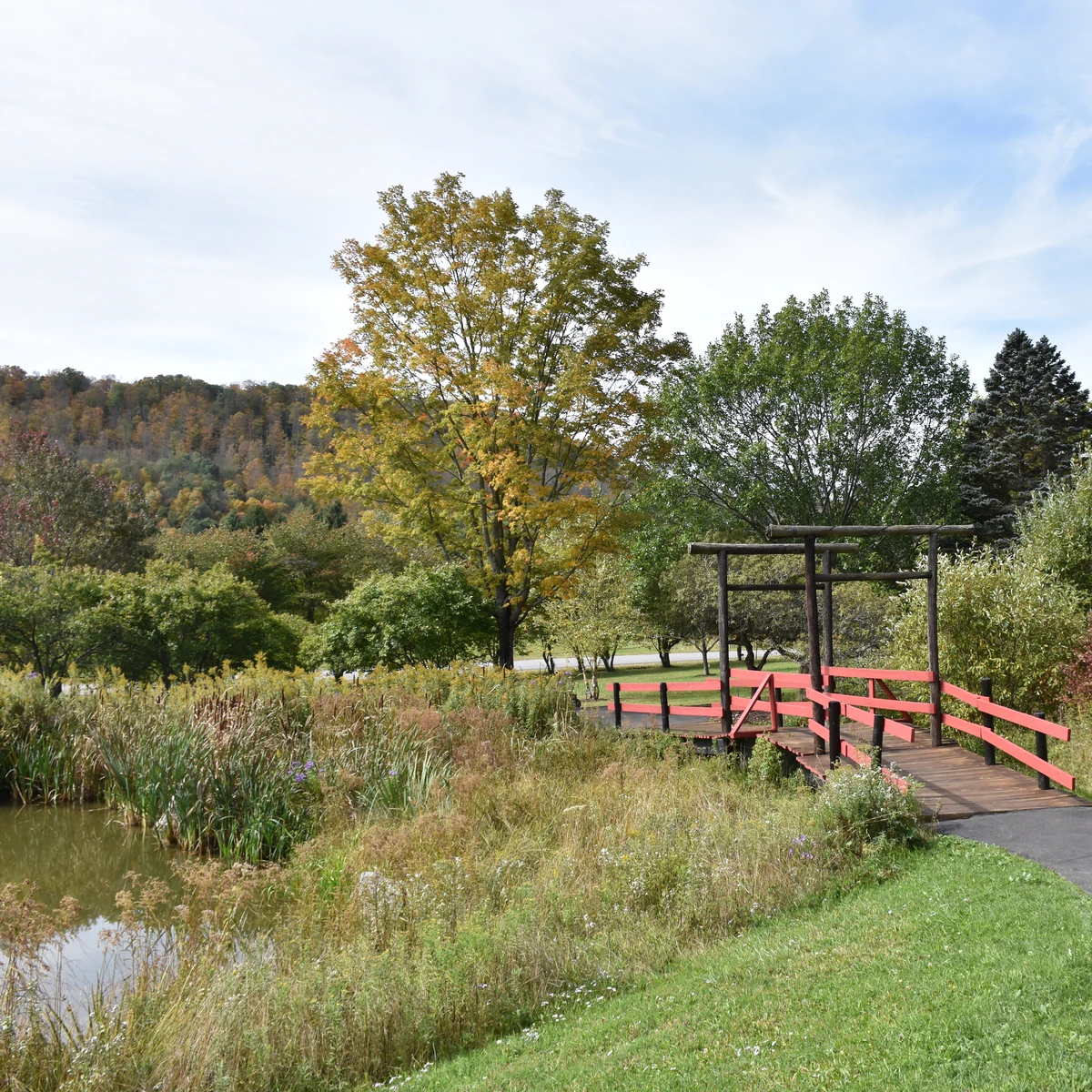 Pond at Nannen Arboretum
