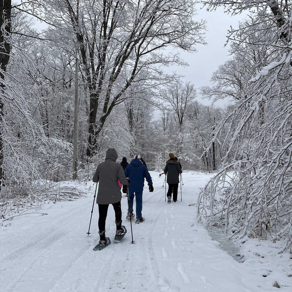 Snowshoeing through a winter wonderland at Allegany State Park