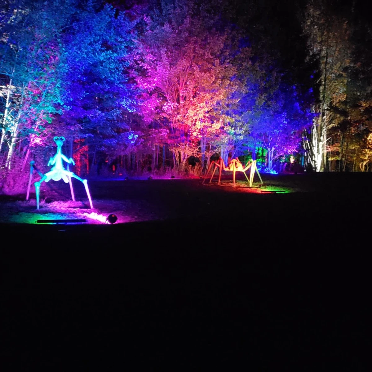 Night Lights at Griffis Sculpture Park