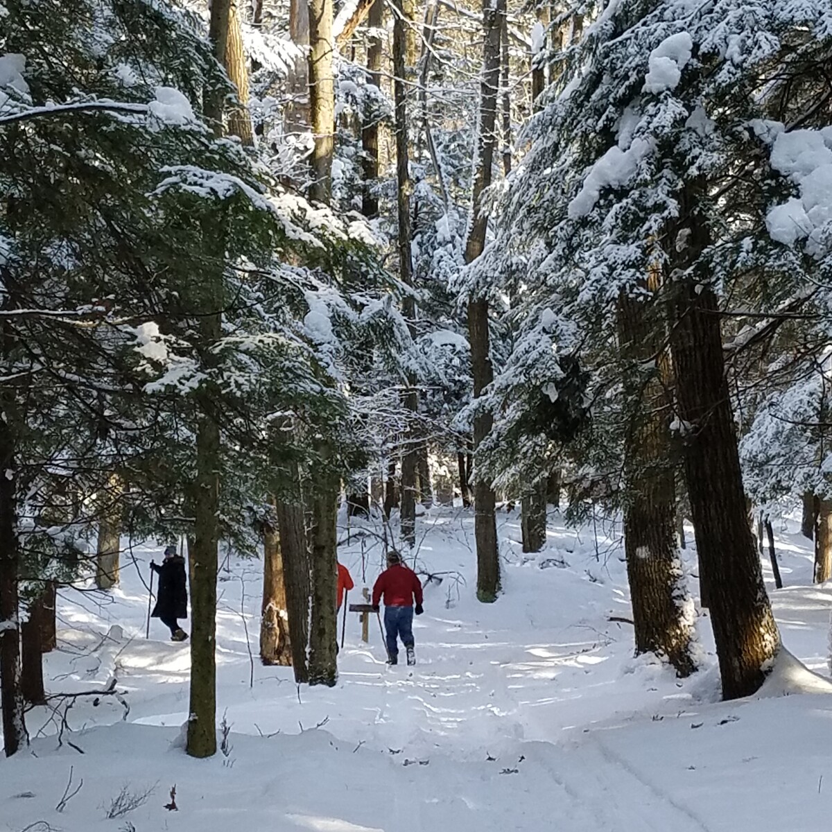Winter hiking at Pfeiffer Nature Center