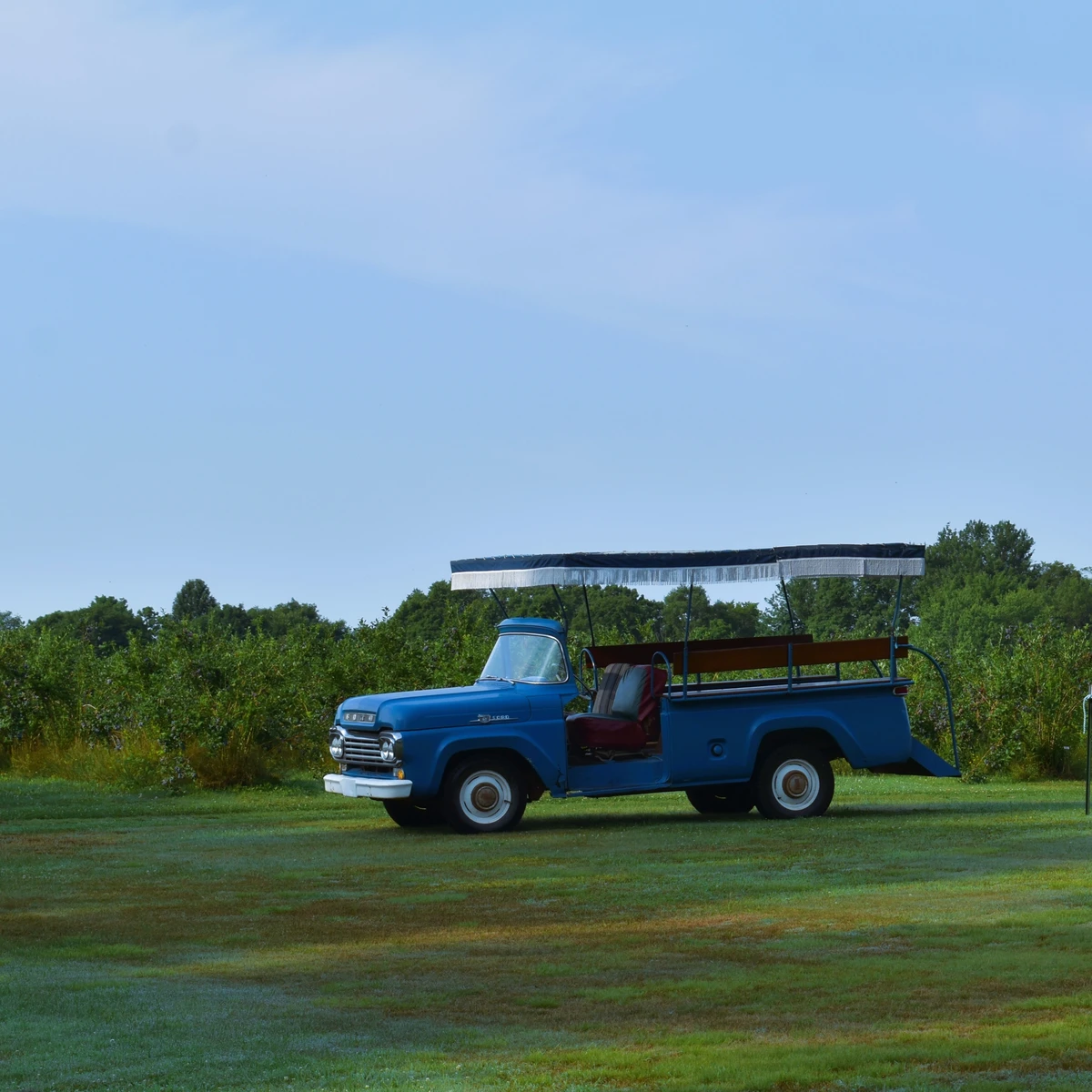 Burdick Blueberries Truck