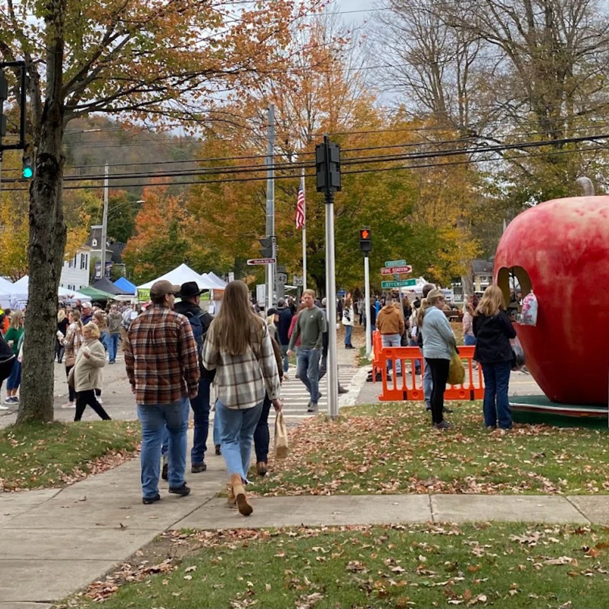 A view from Ellicottville's Historical Museum at Ellicottville's Fall Festival in 2023
