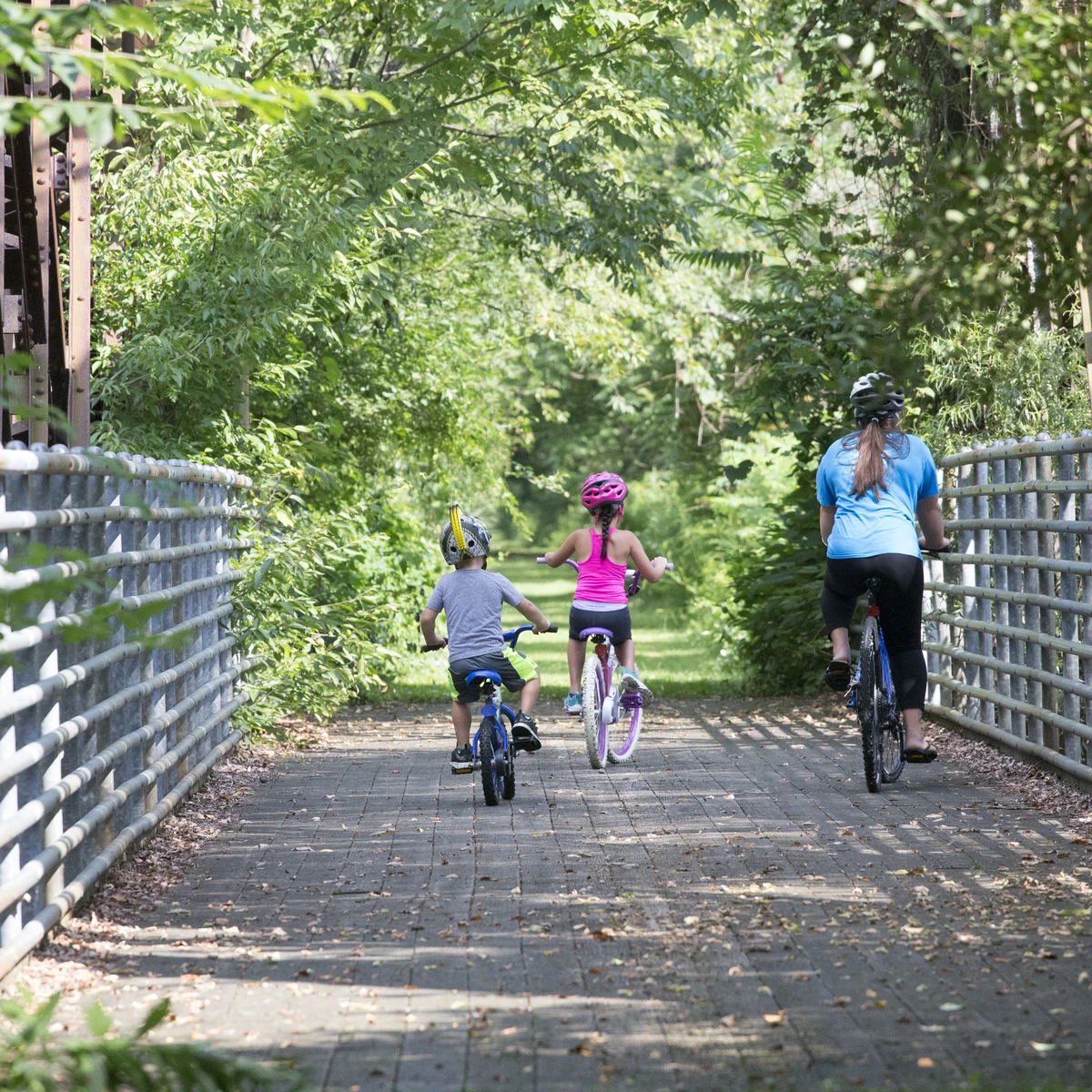 Bikers on the Pat McGee Trail
