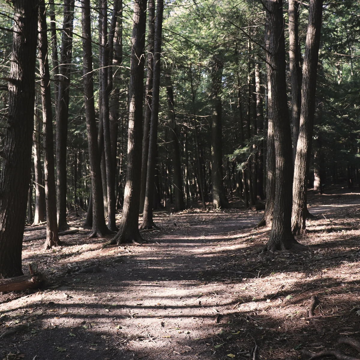 Pfeiffer Nature Center
