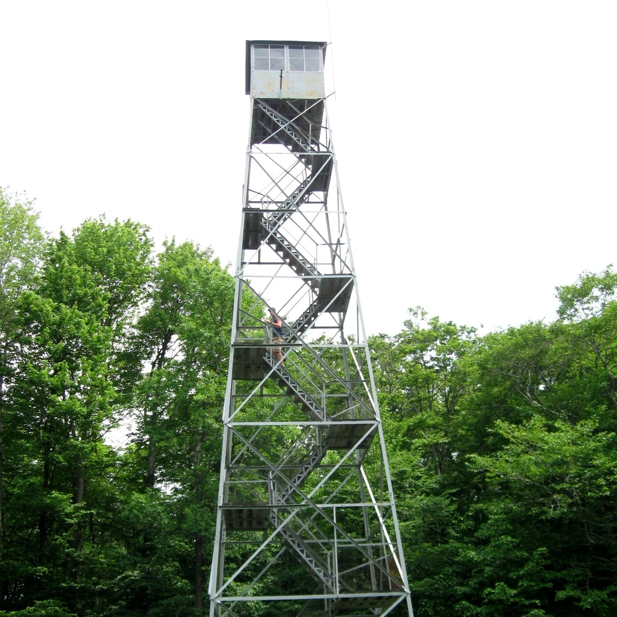 Fire Tower at Allegany State Park