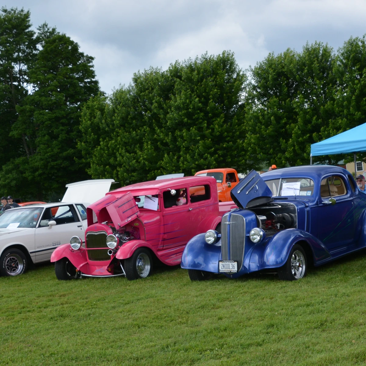 Car Show at Coldspring Picnic