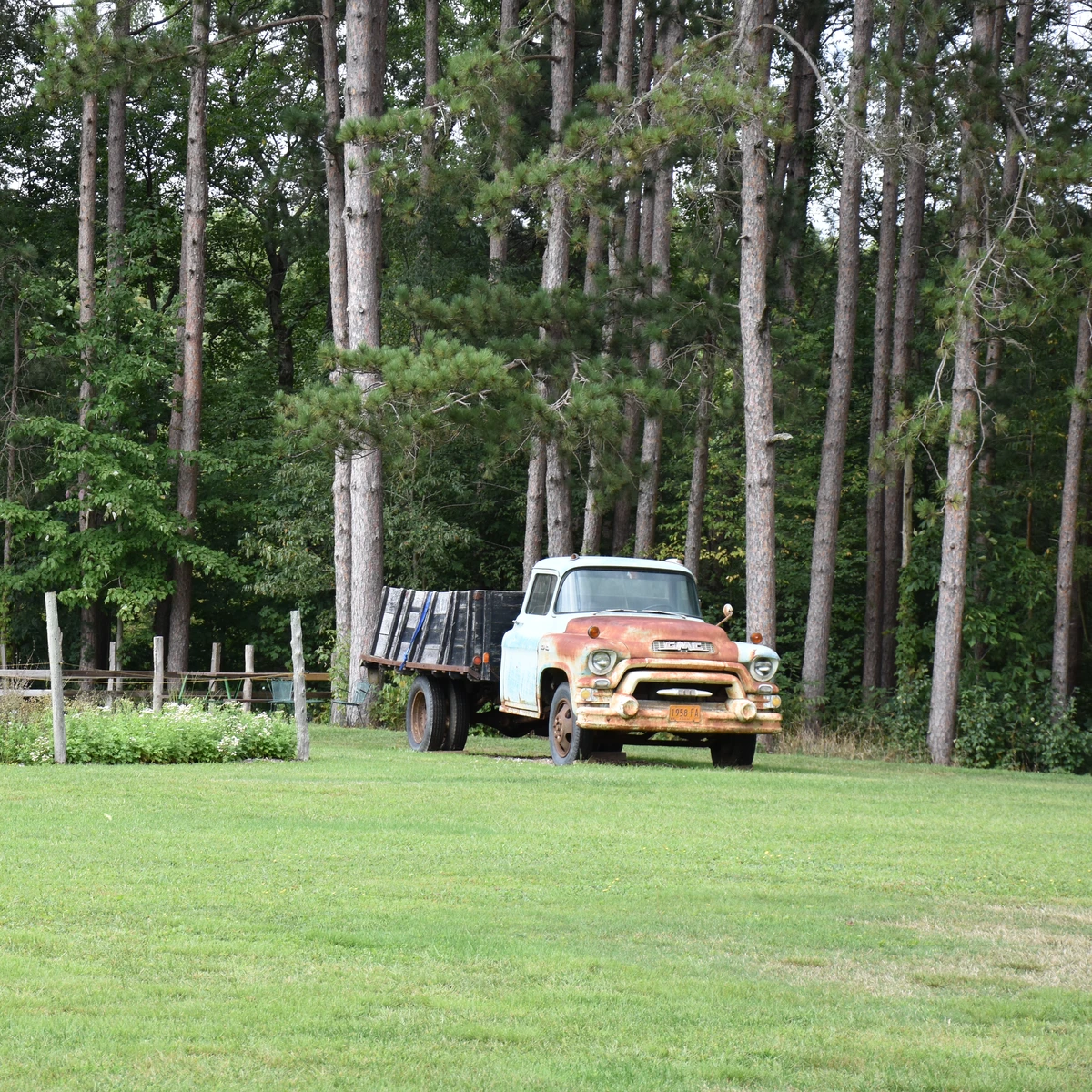 Truck and flowers at Burdick Blueberries