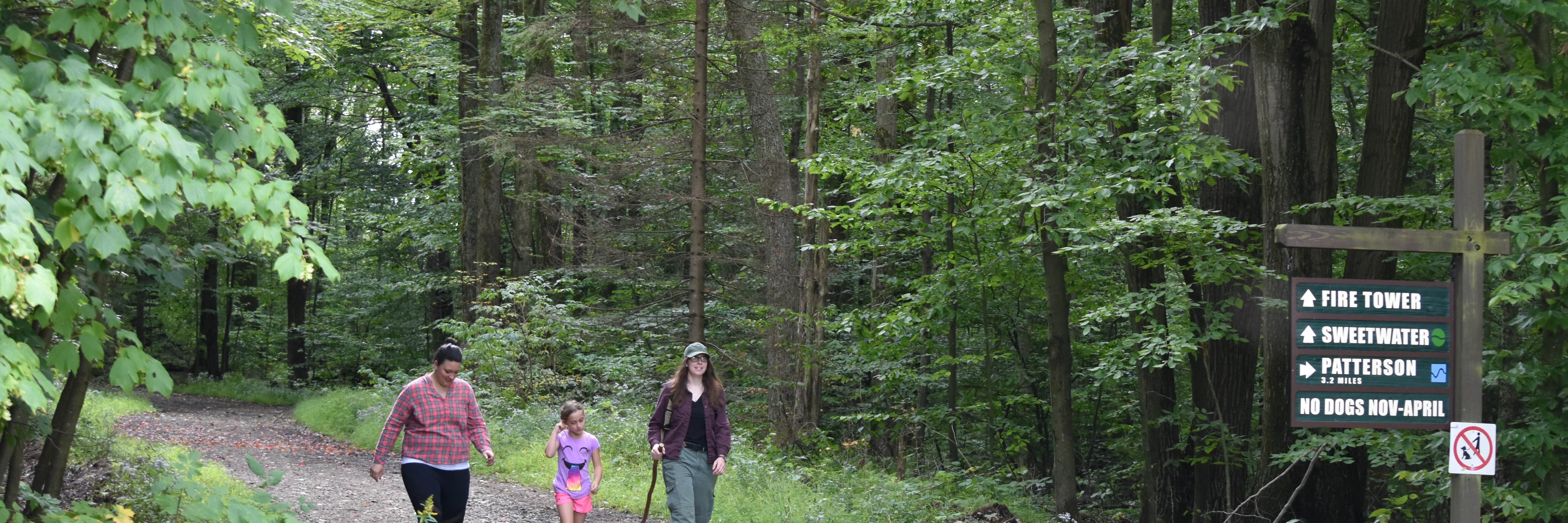 Hiking at Allegany State Park