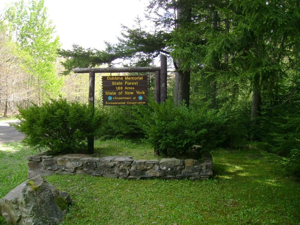 State Forest Sign