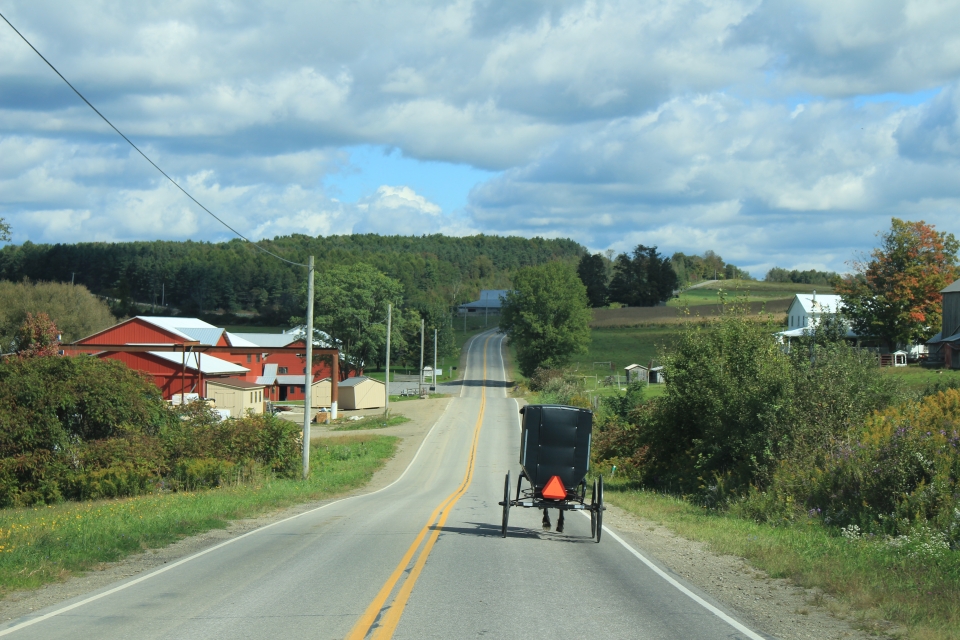 Amish Buggy out and about on a sunny day