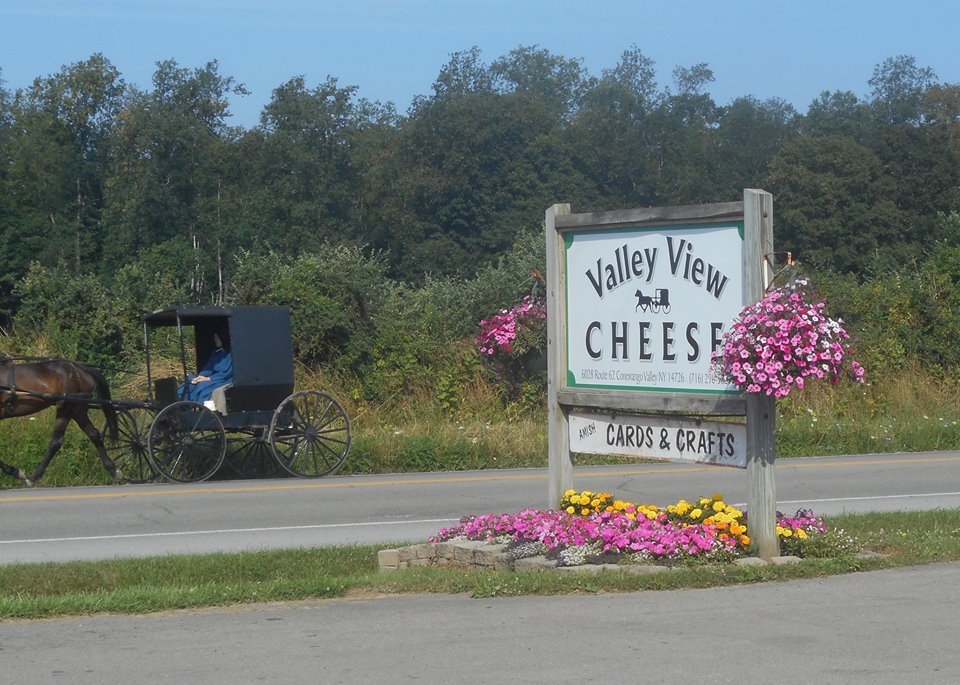 Valley View Cheese Sign
