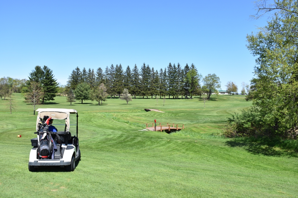 Golf cart and course at Birch Run Golf Course