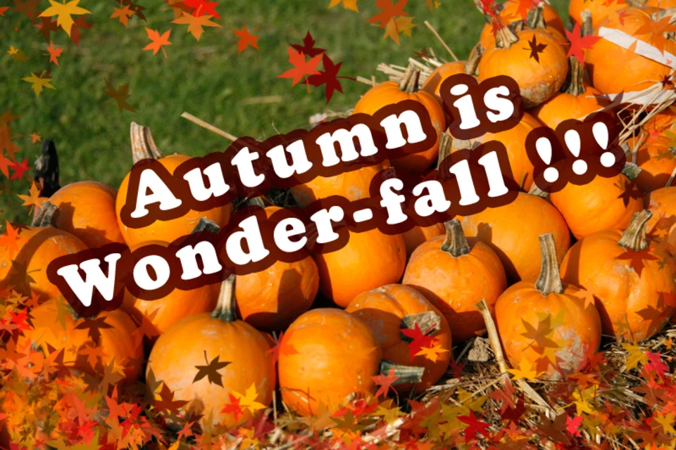 Autumn is Wonder-fall