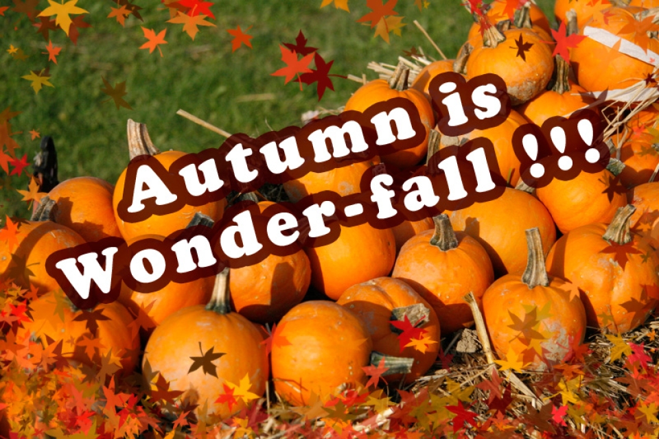 Autumn is Wonder-fall