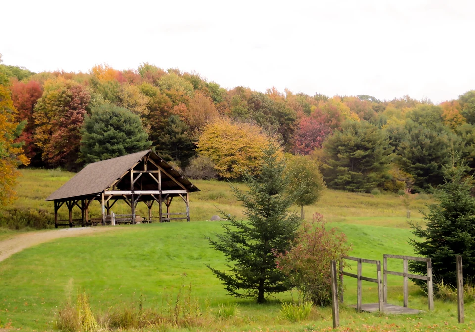 Pavilion at Pfeiffer Nature Center