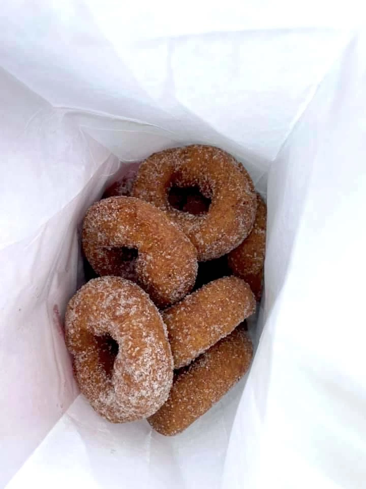 pumpkin donuts at Pumpkinville