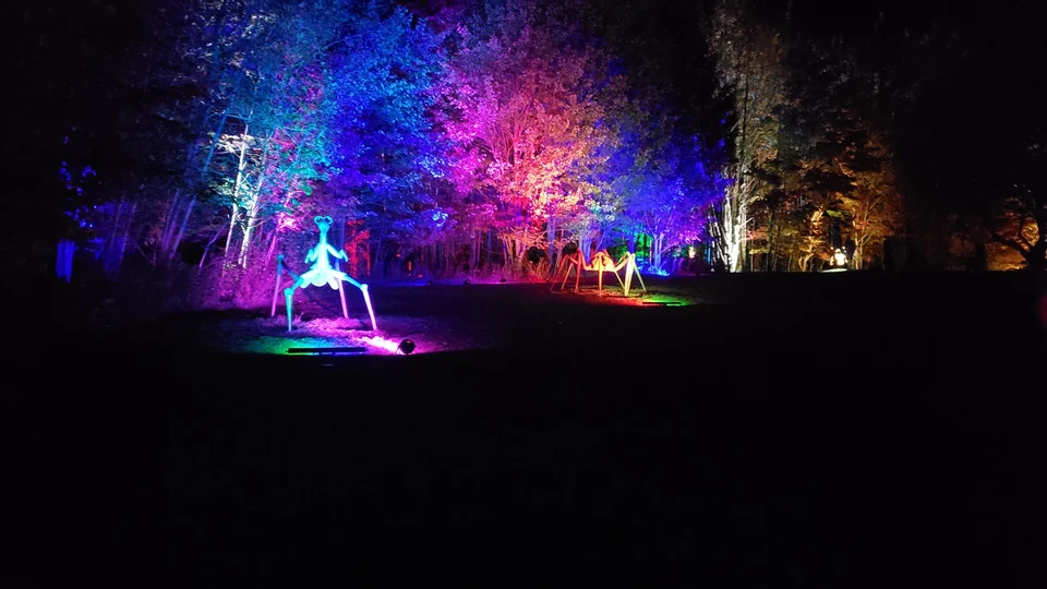 Night Lights on sculptures at Griffis Sculpture Park