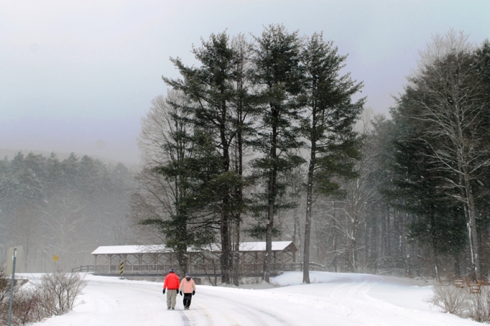Winter hiking at Allegany State Park