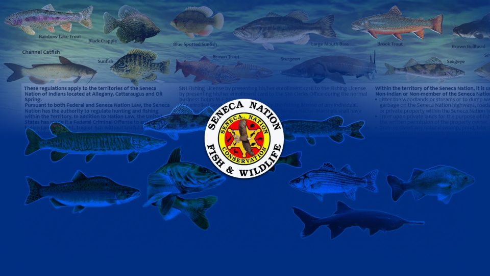 Various fish from the Seneca Nation of Indians with the logo of the Seneca Nation Fish & Wildlife (Seneca Nation Conservation)