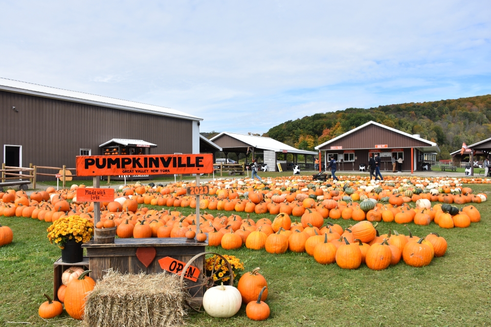 Pumpkinville