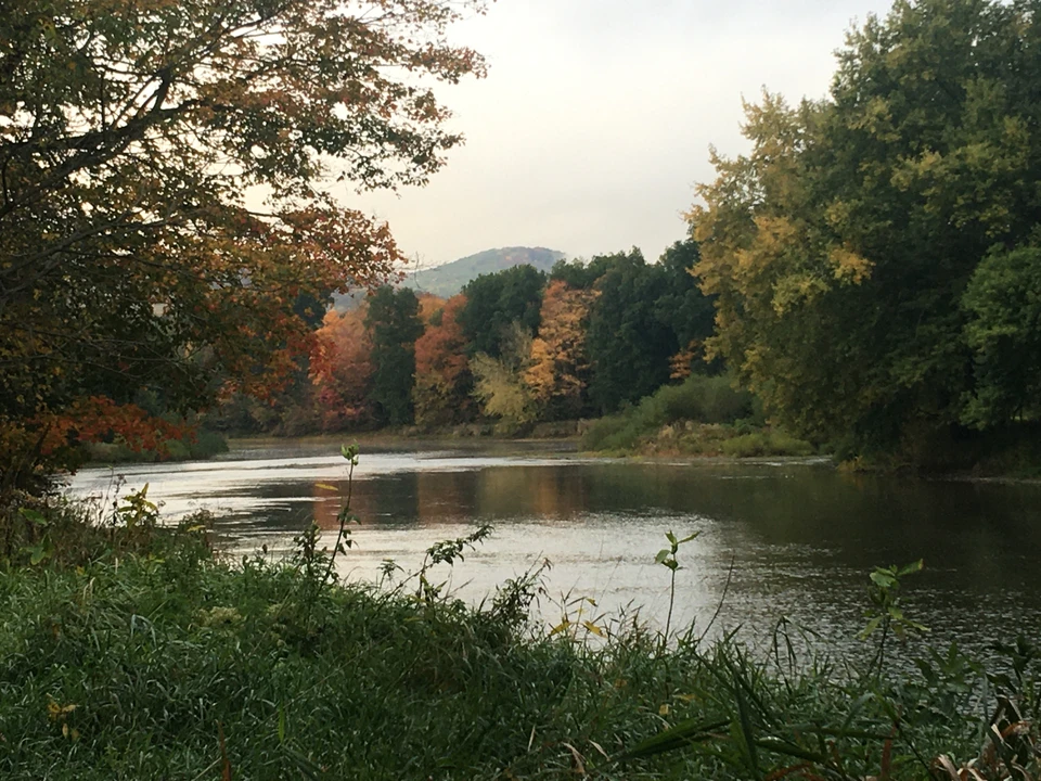 Allegheny River during the fall season