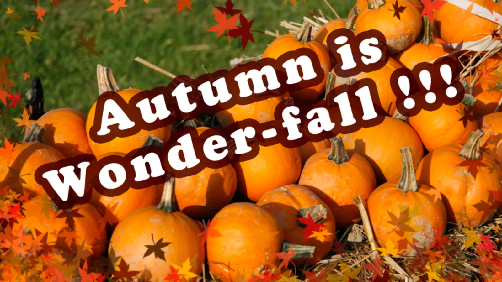 Autumn is Wonder-fall