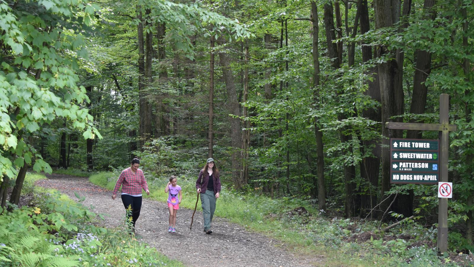 Allegany State Park Trails | Enchanted Mountains Of Western New York State